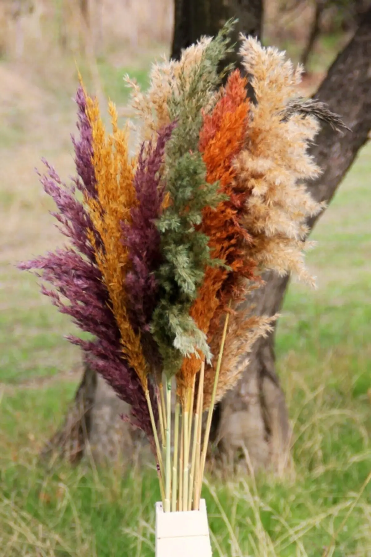 

D Flower Pampas 15 Pieces 100 Cm Length - Mixed