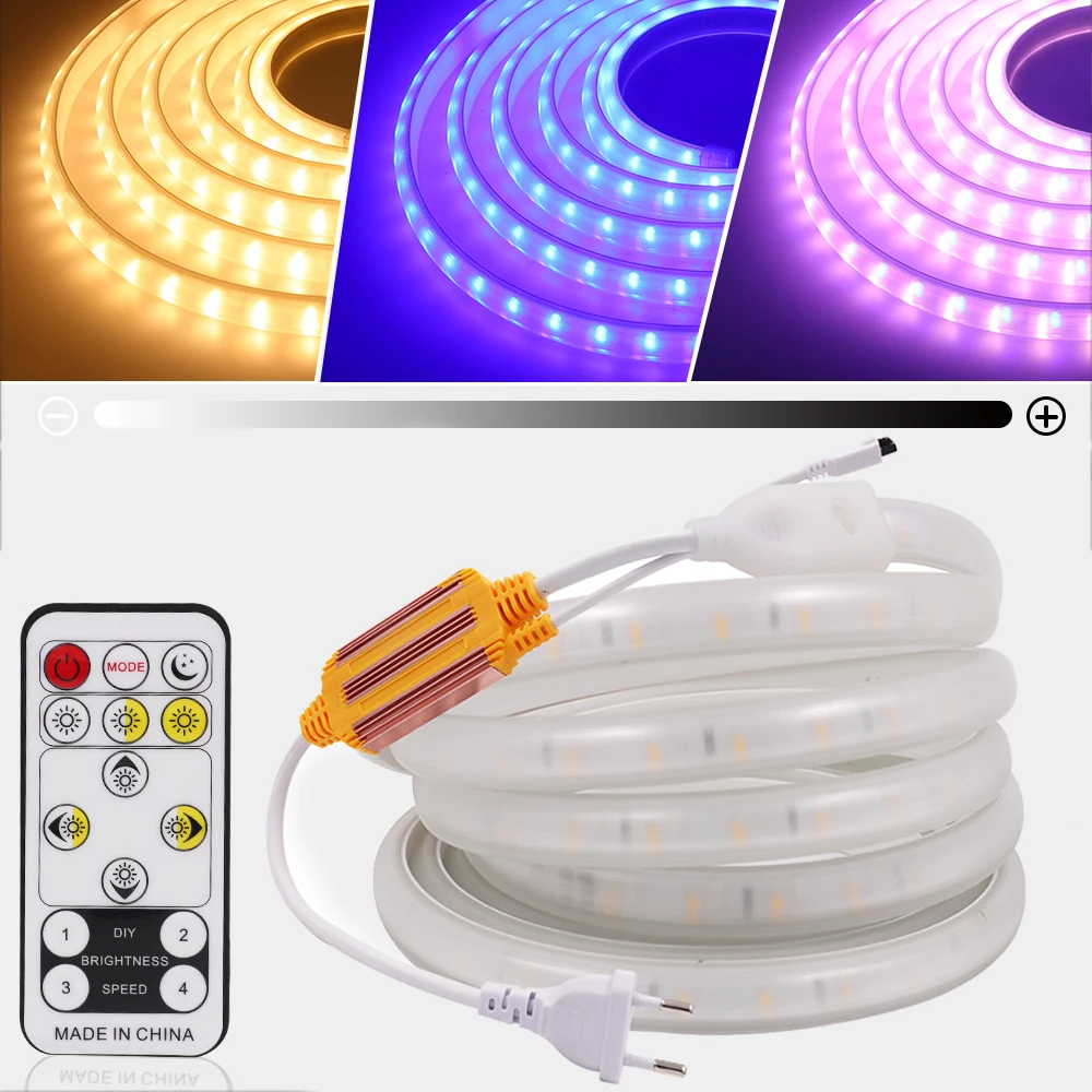Color Temperature CCT LED Strip 220V IP67 Waterproof With Remote Blue+Warm White 2835 120Leds/m Flexible Ribbon Tape Rope Lights