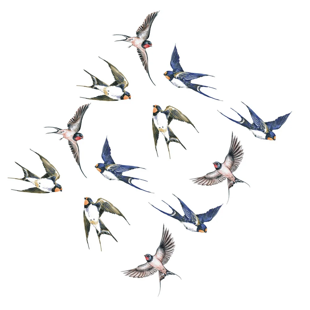 

Window Bird Clings Stickers Decals Sticker Birds Collision Anti Alert Wall Hummingbird Vinyl Strikes Cling Film No Glue Static