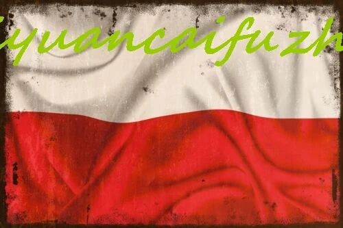 Флаг Польши SJKY состаренный вид новый металлический знак регби футбольный