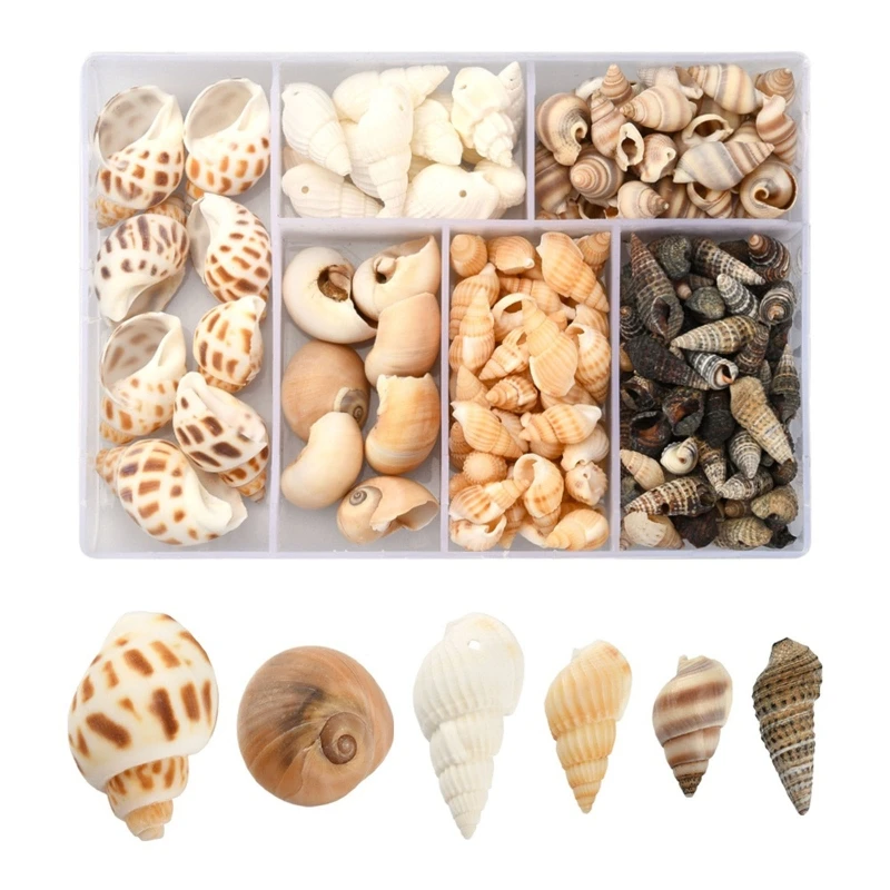 

517F 1 Box Natural Conch Shell Beads with Hole Seashells Ocean Beach Jewelry for Home Decoration Party Wedding Decor