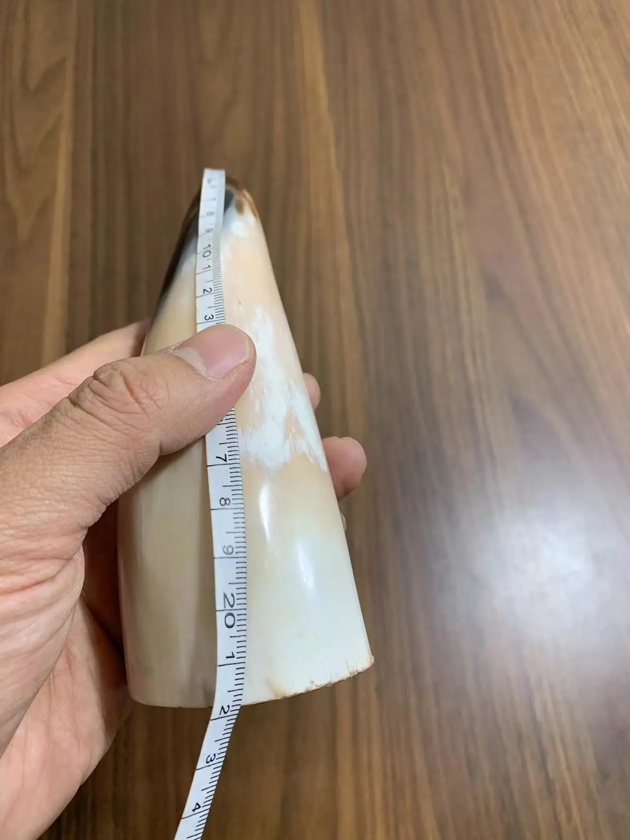 Черно-белый рог викингов уникальный натуральный массажный яка стоячий цилиндр