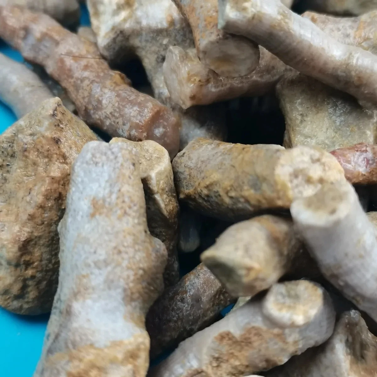 5Pcs Natural Crystal Original Stone Mine Cordyceps Stone Antique Collection Ornamental Stone Ornaments