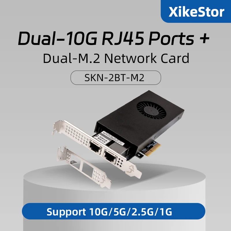 Гибридная сетевая карта XikeStor Marvell AQC113C 10G