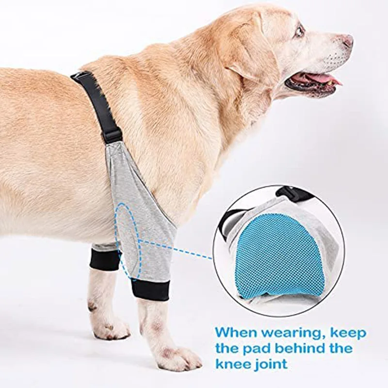 

Pet joints warm and wear-resistant protective gear dog leg injury protective gear soft breathable cushion dog accessories
