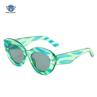 teenyoun new big frame cat eye sunglasses luxury brand fashion jelly color stripe cool glasses punk sunglasses