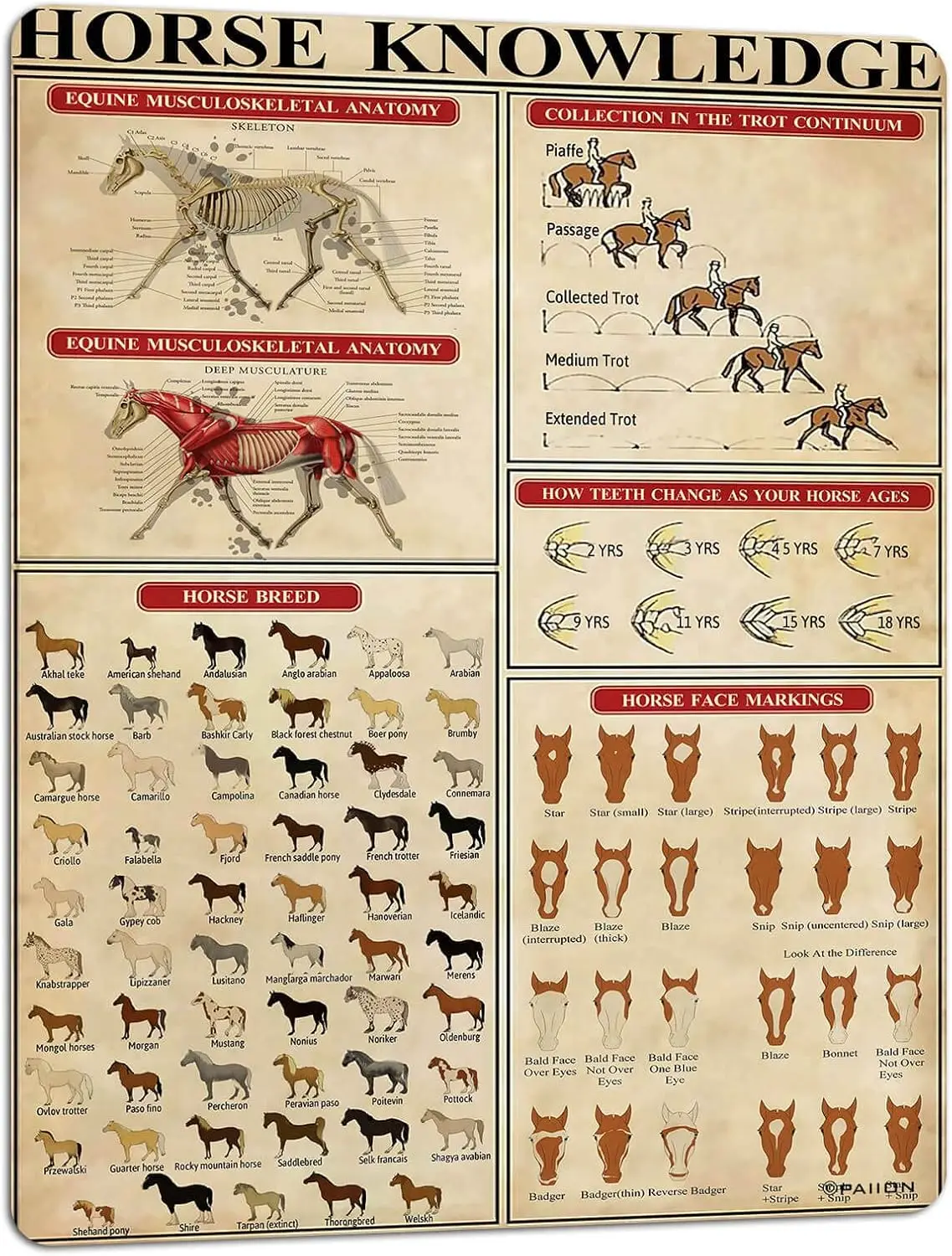 Металлическая табличка PAIION Лошадь Знания