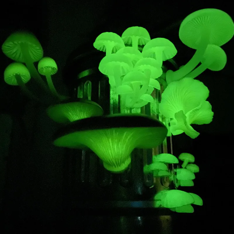 Фото Официальный магнит и декор Kitan Club Ikimon Glow-In-The-Dark Mushroom — фигурка Gashapon на складе №2