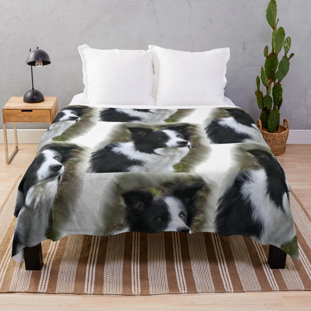 

Fronteira collie presentes do amante lance cobertor cobertor peludo turista sofás de decoração cobertores de malha