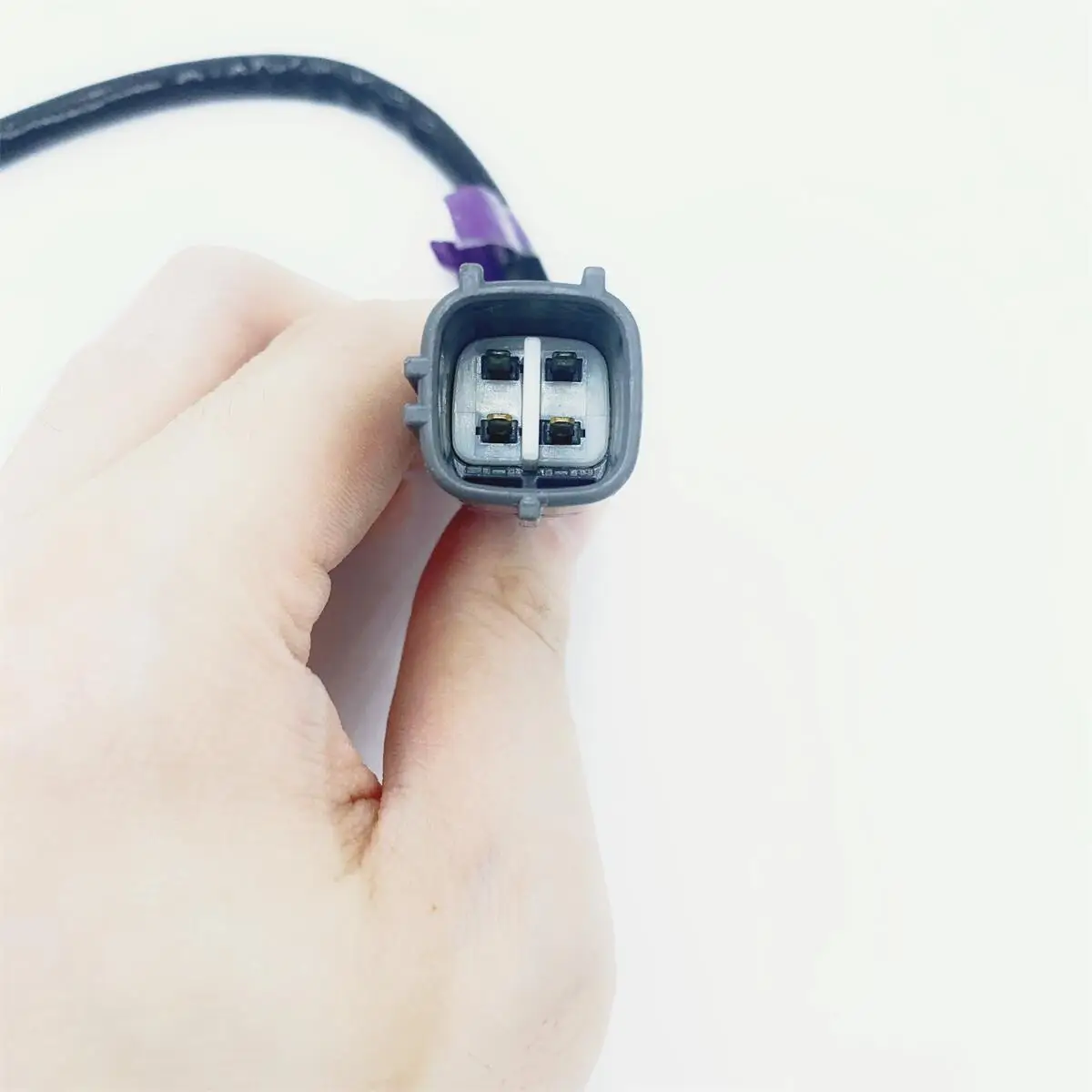 Asam sensor