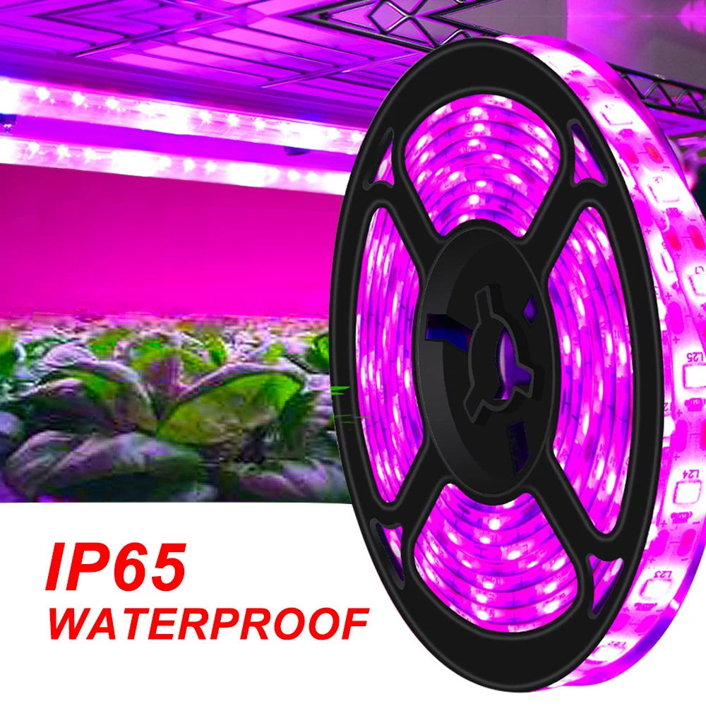 Strip 2835 Plants Flowers Led Greenhouse Cultivo Hydroponic