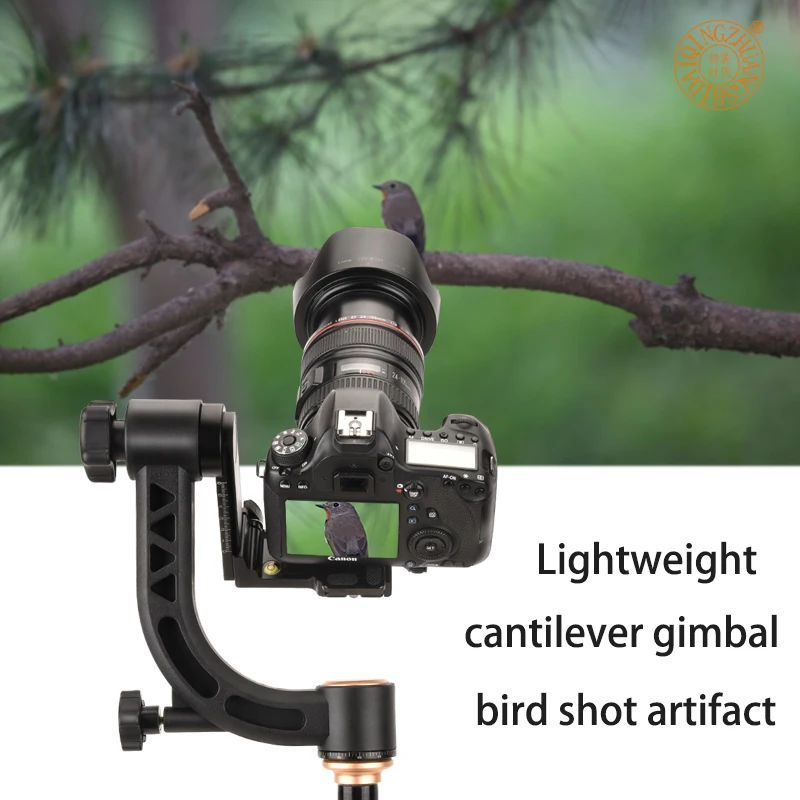 Q35 Heavy Duty Metal Panoramic Gimbal Tripod Head Use for Arca-Swiss Standard Quick Release Plate for DSLR Camera Camcorder enlarge