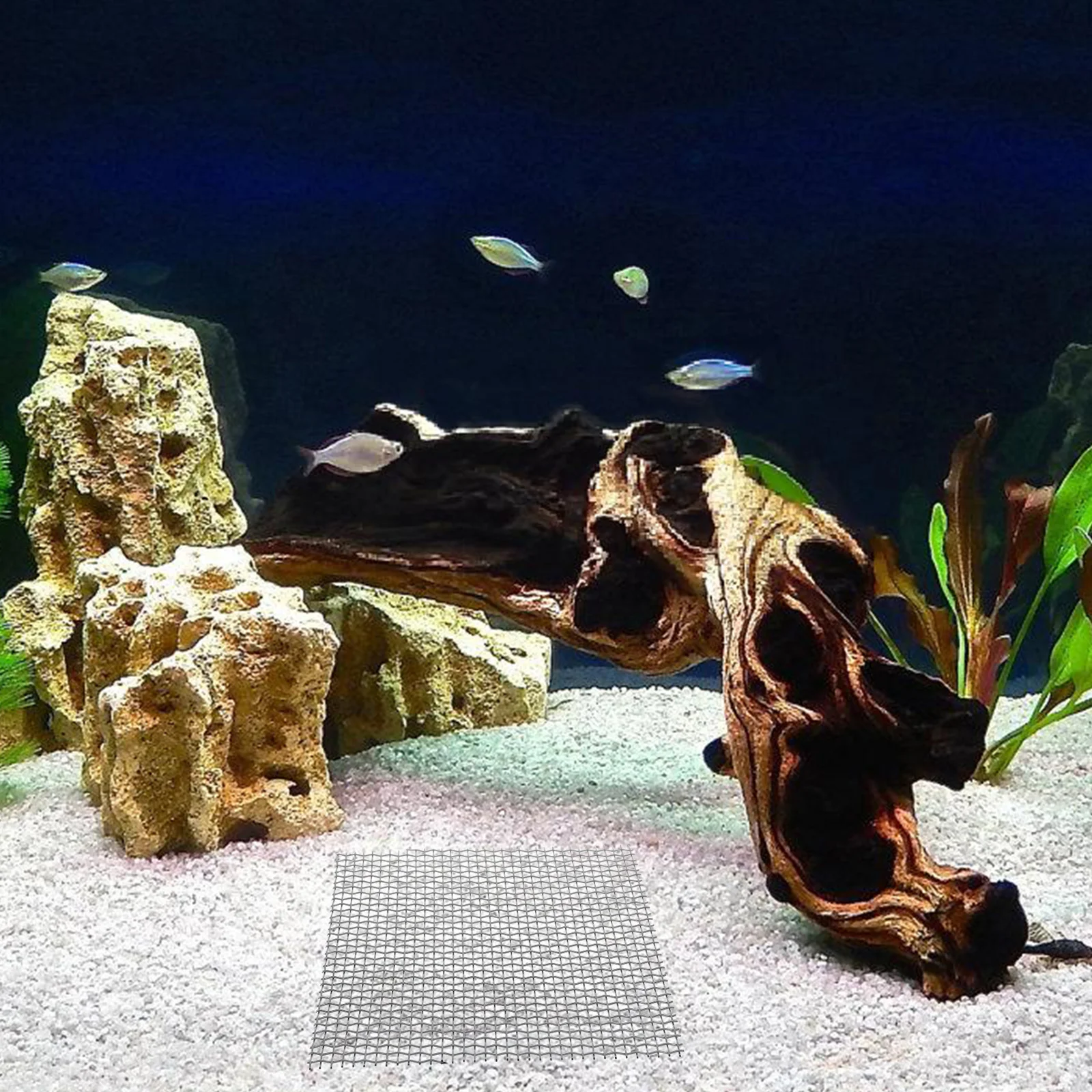 6 шт. сетка из нержавеющей стали с мохом аксессуары для аквариума посадки гибкий