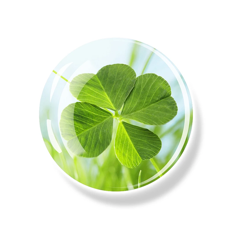 

Магниты для холодильника EQJJYPOC, набор из 4 штук