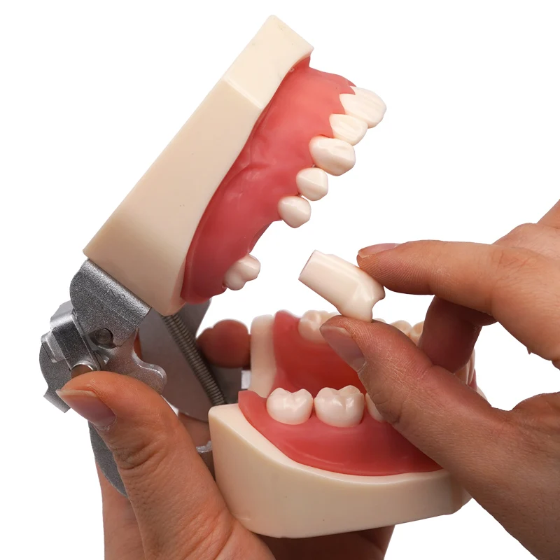 Зубная модель съемная тренировочная зубов зубной резинки и силиконовая маска