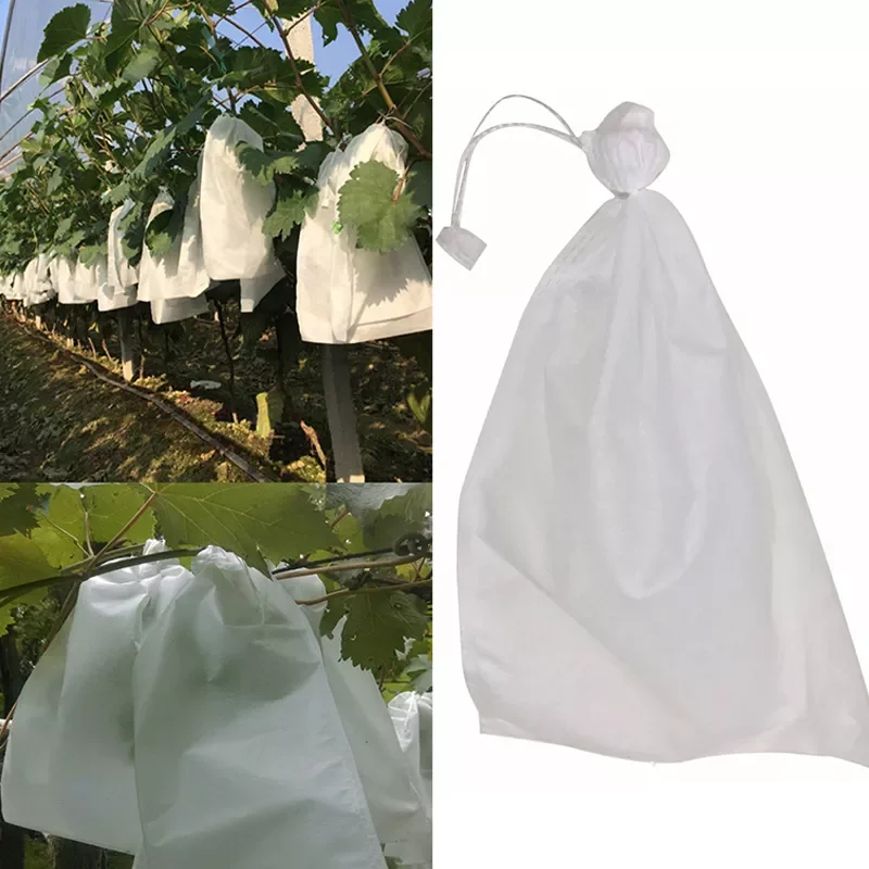 

2022 Fruit and vegetable grape insect proof waterproof bag