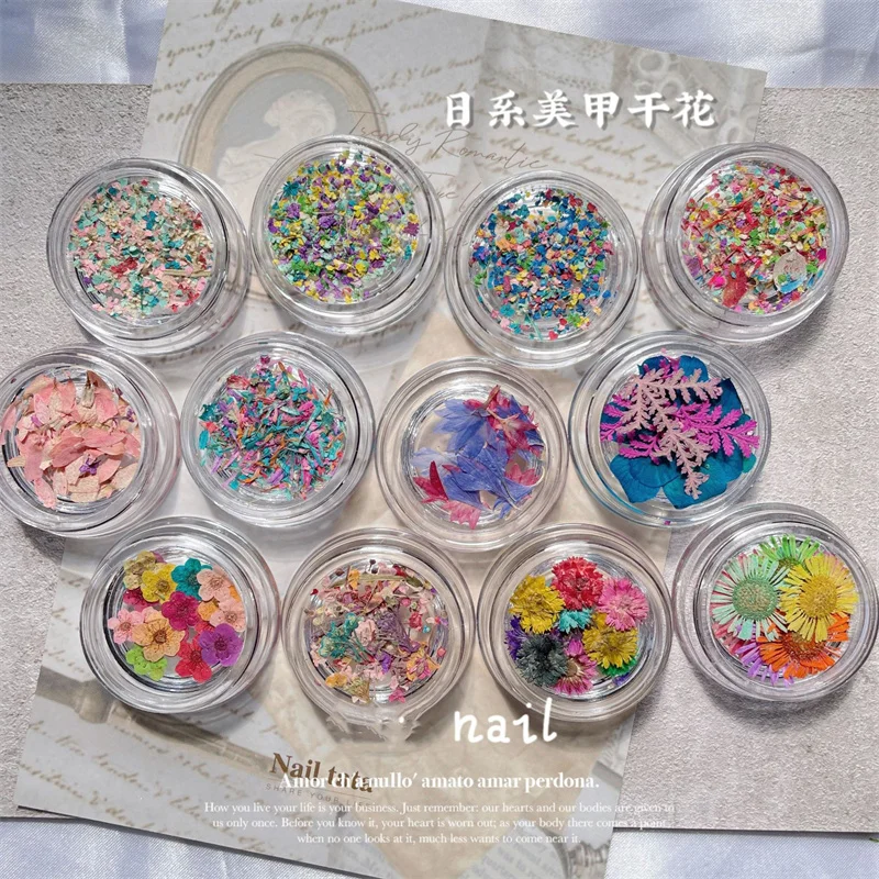 

3D Dried Flowers Nail Art Decorations 3D Charm Summer Leaf Flower Gel Polish Manicure Jewelry Press on Tips Designs Accessories