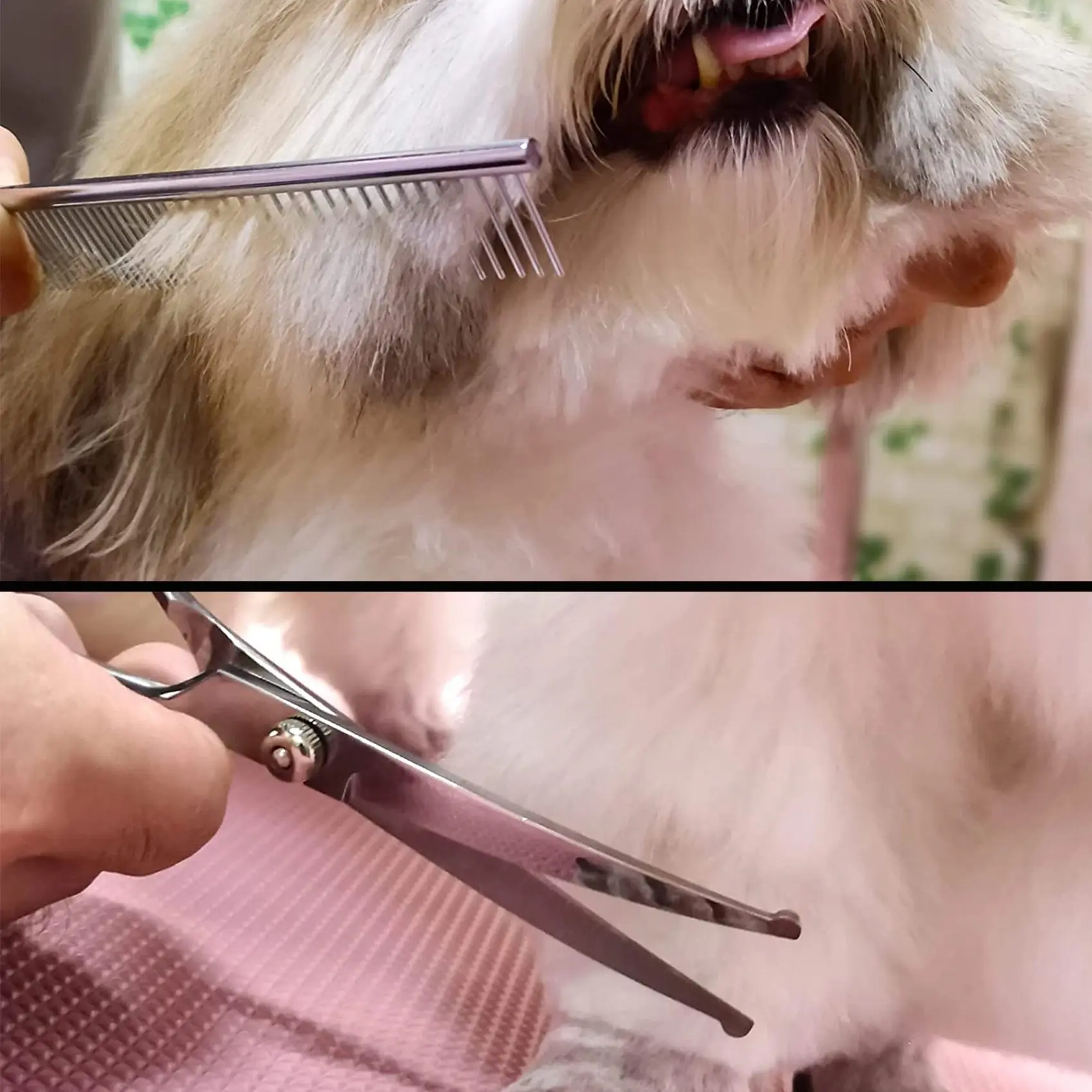 Набор ножниц для груминга домашних животных с безопасным круглым наконечником