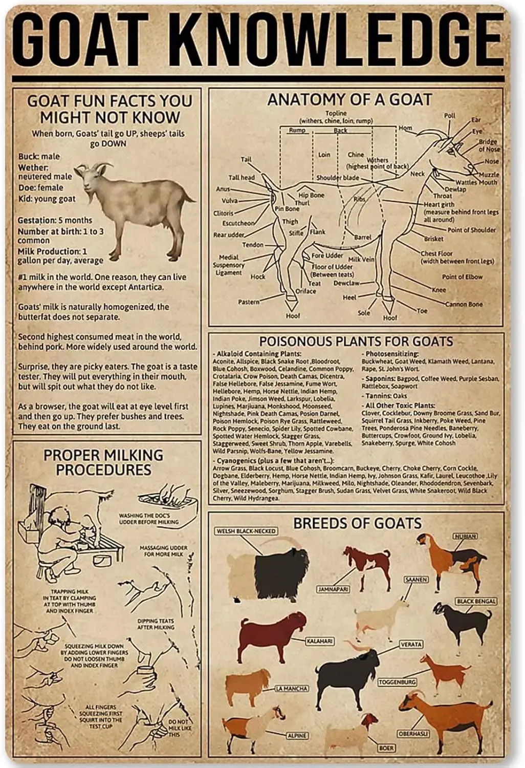 Got Knowledge Metl Tn Sgn Plnng nfogrphc Плакат Plque для Frm Home Ktchen School Club Wll Decorton 12x16 nches