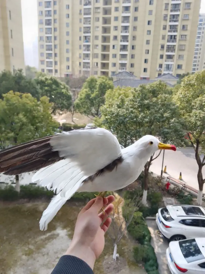 Модель птицы в виде голубя экологичные украшения из смолы поделки садоводство