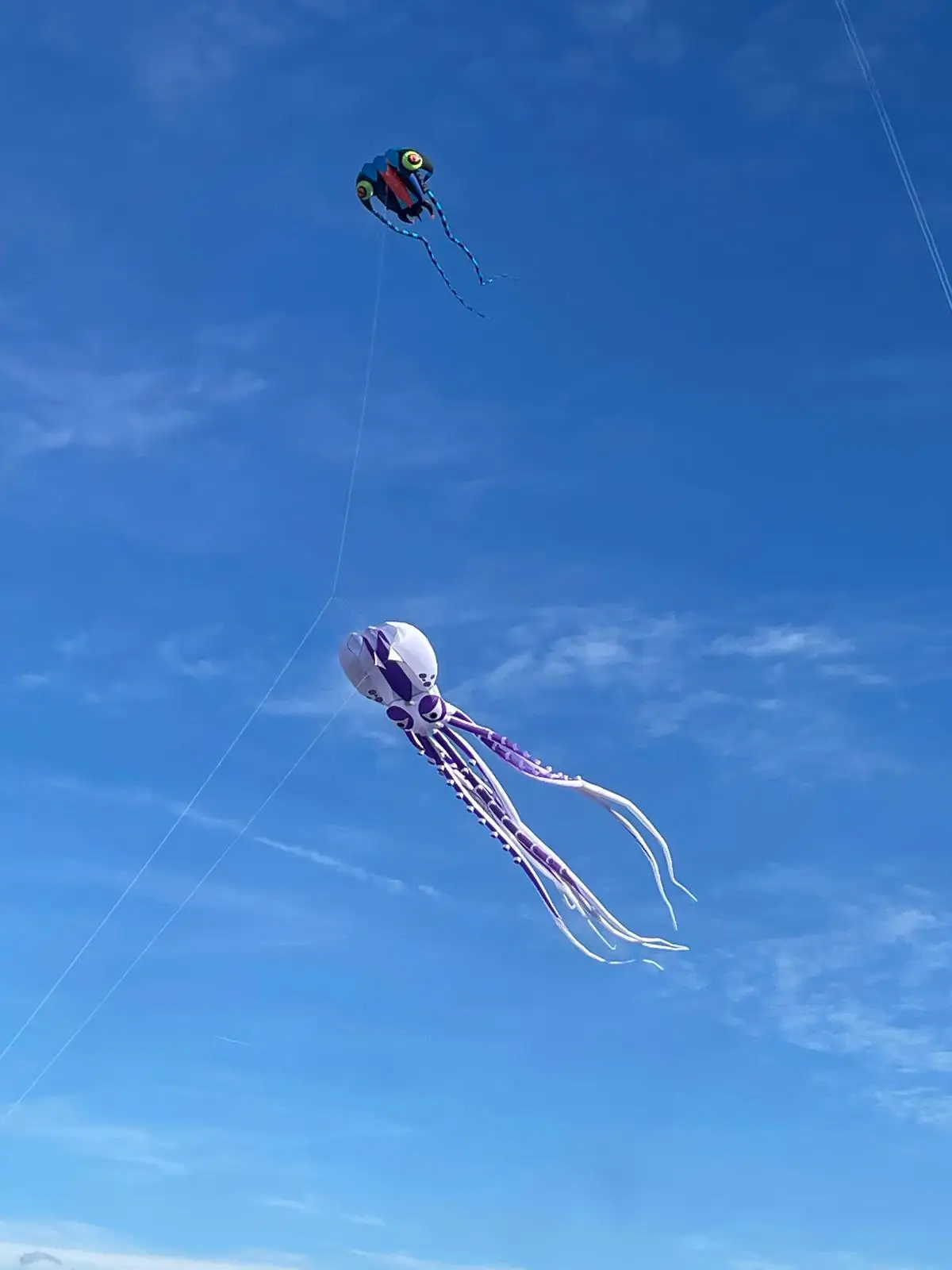 Показательный змей 18 м светодиодный мягкий надувной змей-осьминог большой