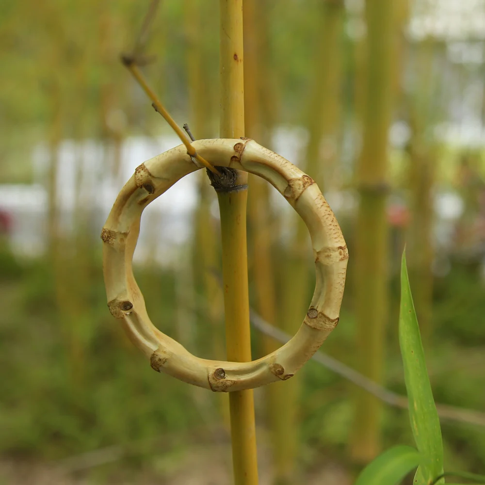 Nilerun новинка романтический унисекс уникальный браслет ручной работы из дерева