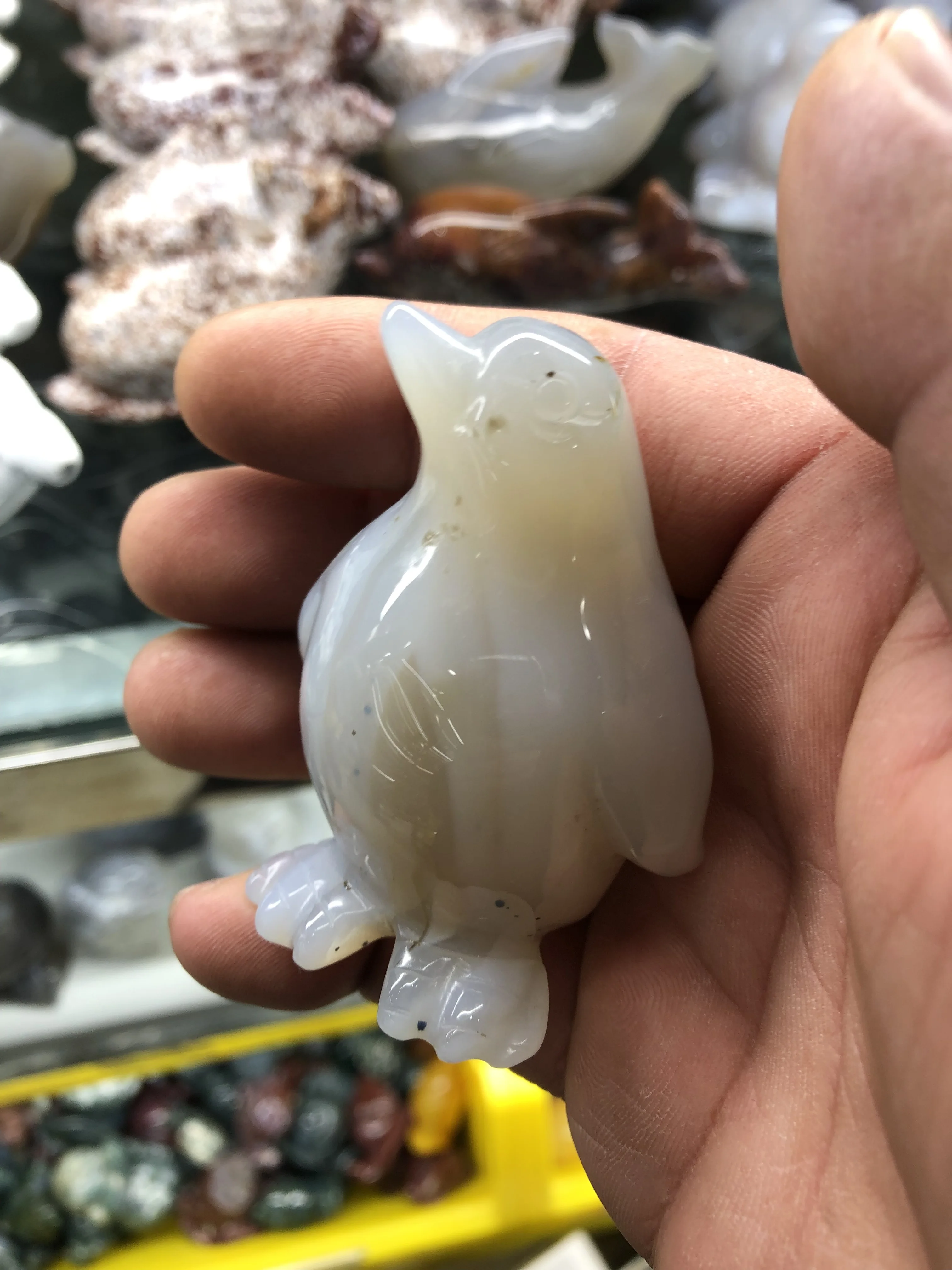 

Brazilian Agate Stone Energy Stone Carved Into The Shape Of A Magpie Parrot