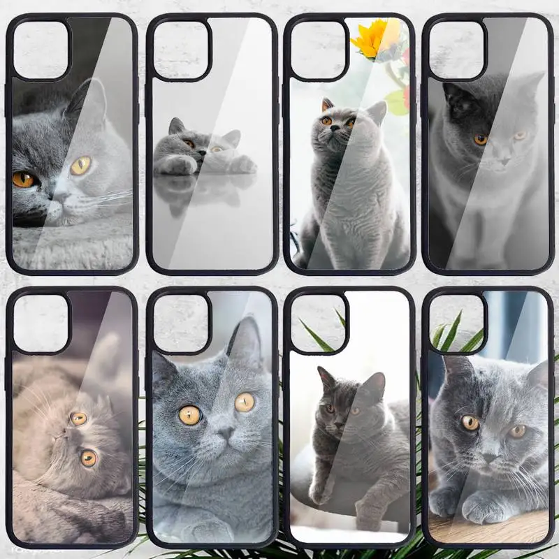 

British Shorthair cat Phone Case PC for iPhone 11 12 13 pro XS MAX 8 7 6 6S Plus X XR Luxury shell funda