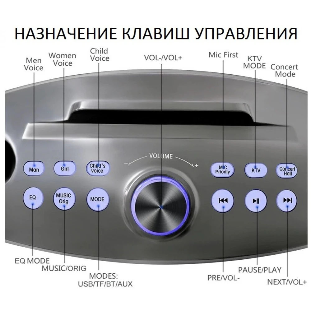 SDRD SD 306 Plus (серый) - домашняя блютус-караоке система с двумя перезаряжаемыми