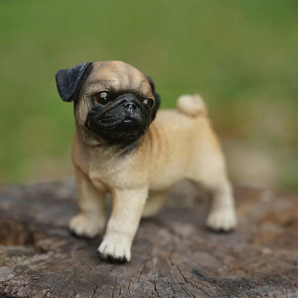 

Pug Dog Decoration Resin Model Small Animal Birthday Feel Gift Simulation And Realistic Smooth High Delicate L1h2