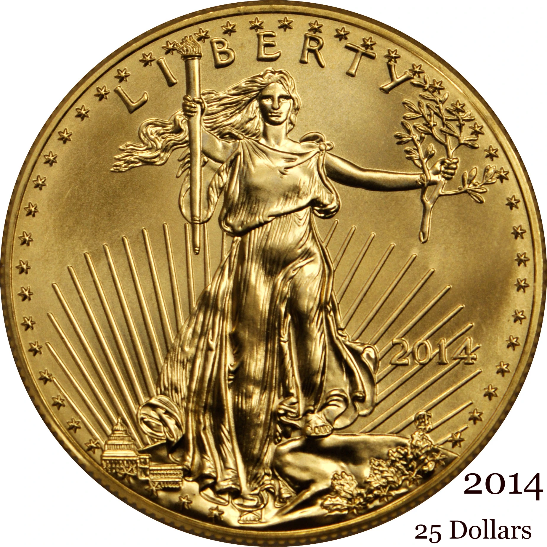 

Соединенные Штаты, США, 2014 долларов, менее 25 долларов, половина унции, американский золотой Орел, слитка, монета США, свобода, латунная металл...