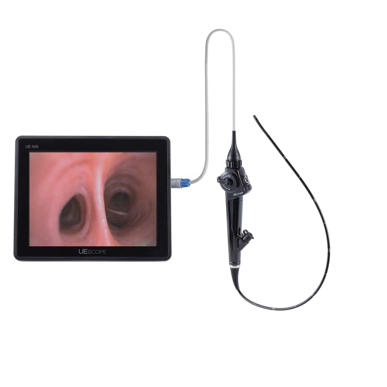 

Portable Video Flexible Endoscope Ent Scope
