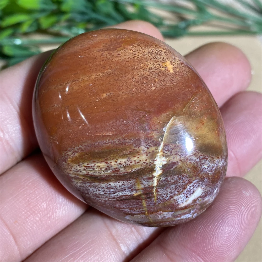 Woodstone Natural Stones Crystals Healing Xylopal Palm Mineral Aquariums Meditation Energy Wicca Wichcraft House Room Decor images - 6