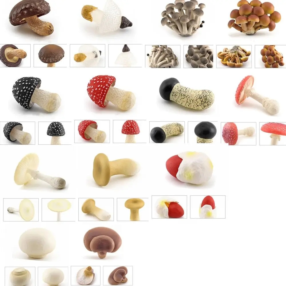 Овощная модель фигурки грибов Matsutake Oyste пейзажные миниатюры имитация гриба Pleurotus