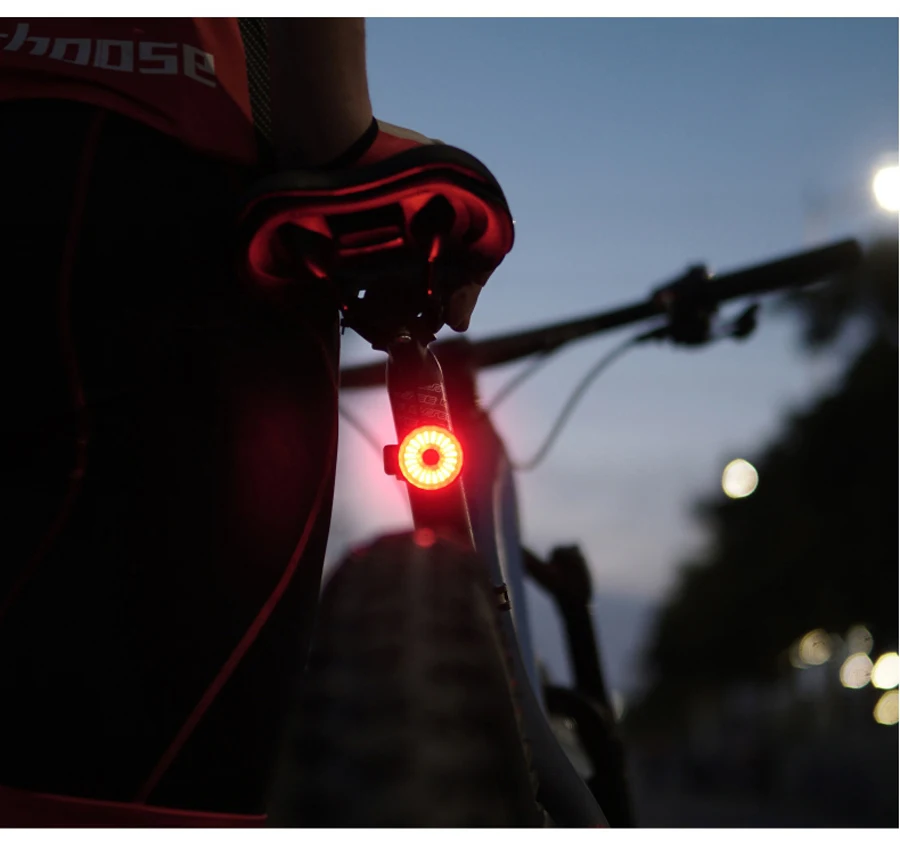 

Smart Fahrrad Rücklicht Auto Start/Stop Brems Sensing IPx6 Wasserdichte USB Lade Radfahren Schwanz Rücklicht Bike LED Licht