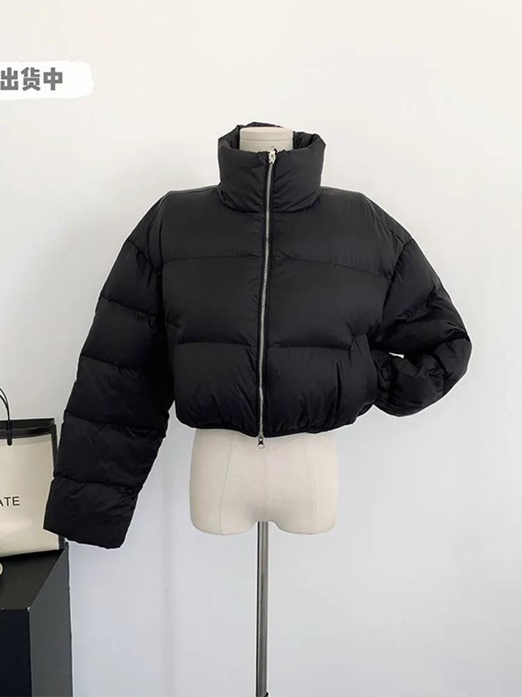 

Женская короткая пуховая куртка, черная утепленная парка с хлопковой подкладкой и воротником-стойкой, большие размеры, Осень-зима 2022