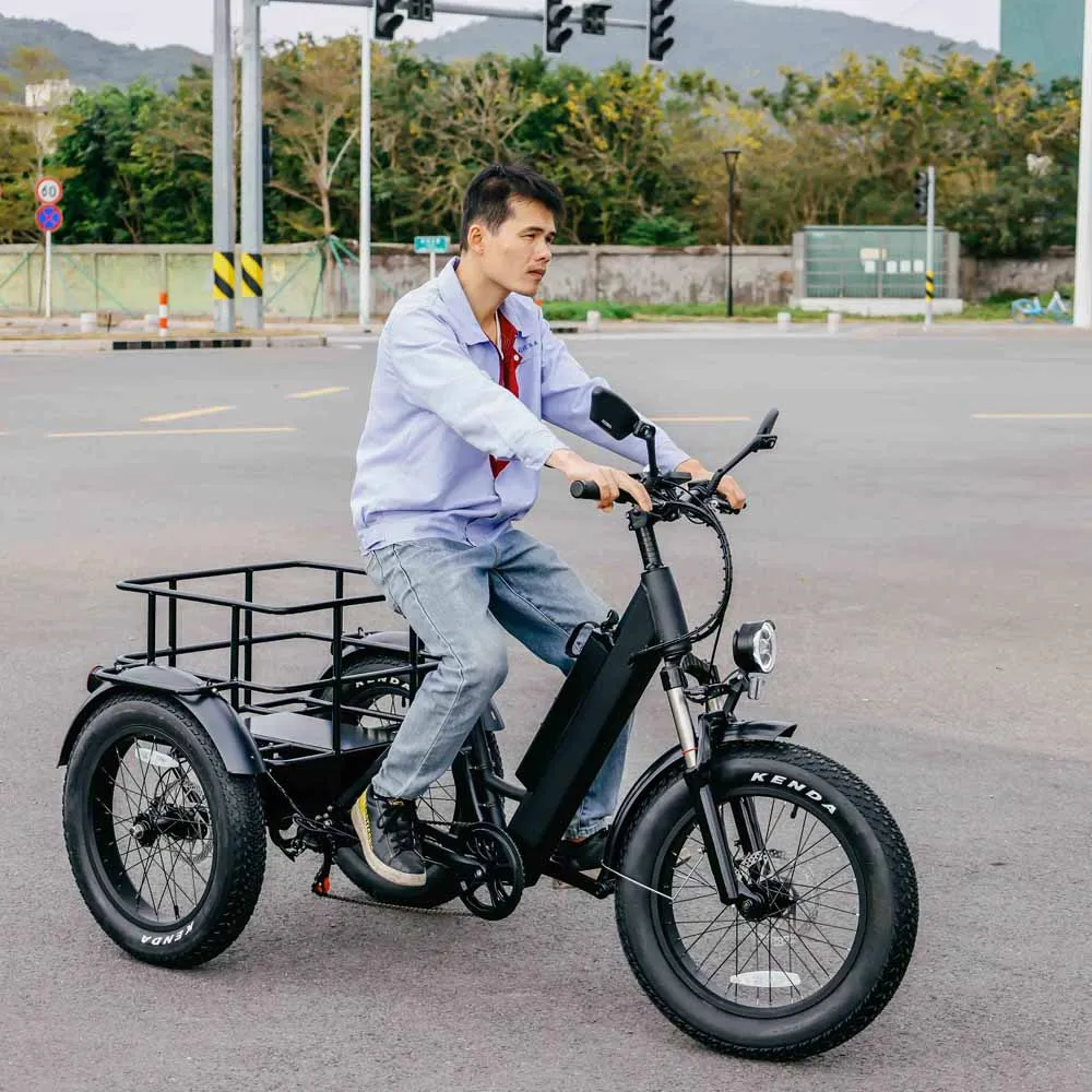 Популярный 3-колесный электрический велосипед 250 Вт трехколесный с толстыми