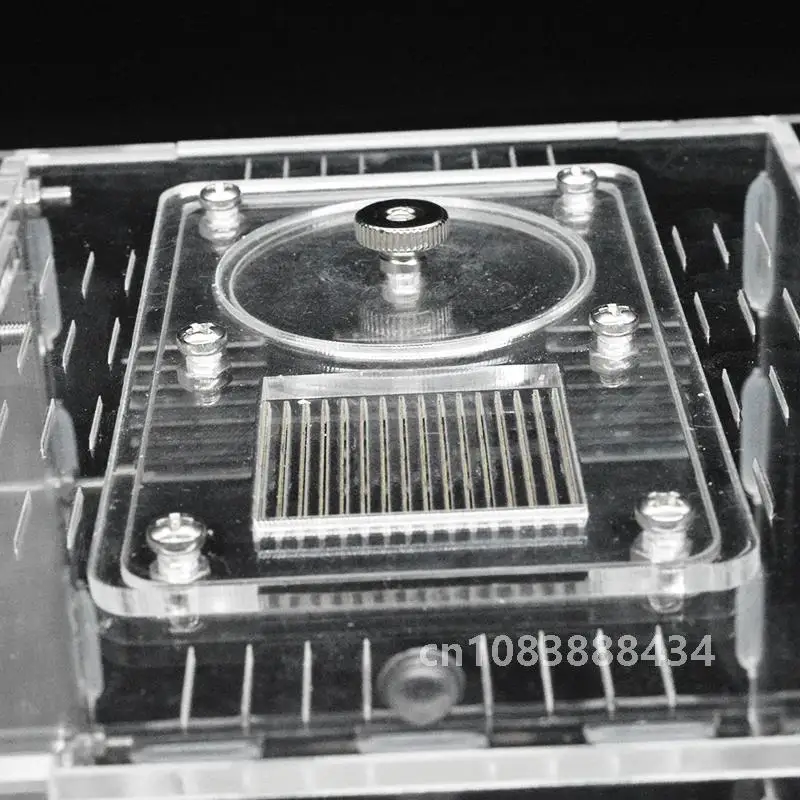 DIY акриловая ферма муравьев гипс экологический дом для домашних животных антарль