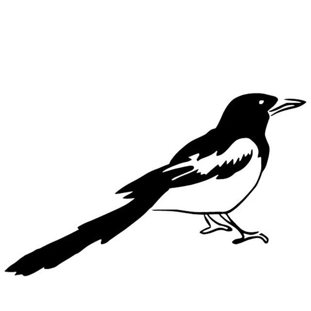 

Car Stickers Decor Motorcycle Decals Funny magpie Vinyl Decorative Accessories Waterproof PVC,16.4cmx10cm