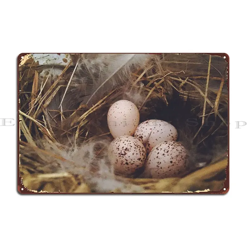 Грязь Птичье гнездо металлические знаки таблички классический дизайн индивидуальная печать клубный жестяной знак плакат