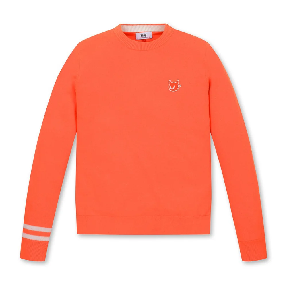 Бренд Charm женский теплый вязаный свитер модный дизайн осенний топ для гольфа