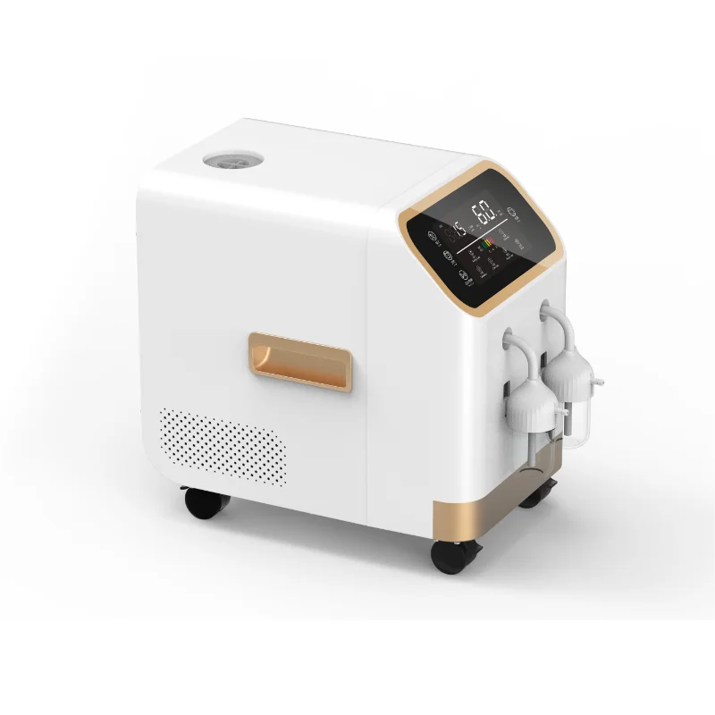 Рисунок 3 - Профессиональный Настольный кислородный