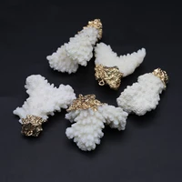 natural shell white coral irregular tree branch pendant crafts jewelry making diy necklace earrings accessories gift party decor