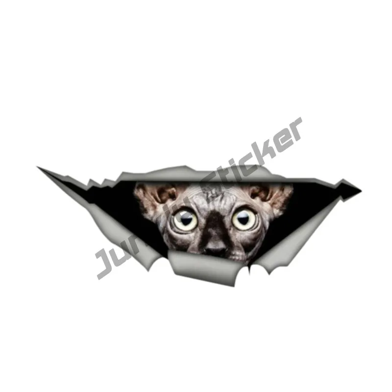 

Design Dawasaru Sphynx Cat Sticker 3D Pet Graphic Vinyl Decal Car Window Laptop Bumper Bird Car Stickers KK,13*5cm
