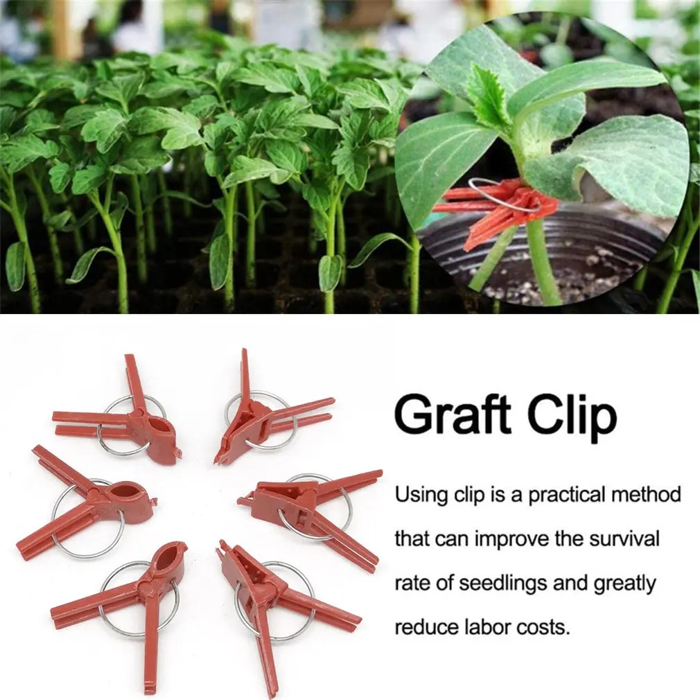 Прививочный зажим для овощей 50 шт. огурцов арбуз дыня прививки баклажанов