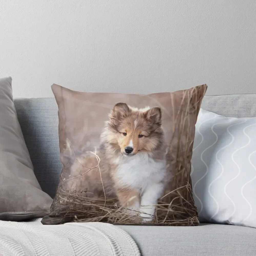 Декоративная подушка Sheltie для щенков Twix наволочка диванной подушки