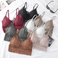 sexy women lace bralette hollow out base girls fashion underwear push up mesh comfortable padded tube tops
