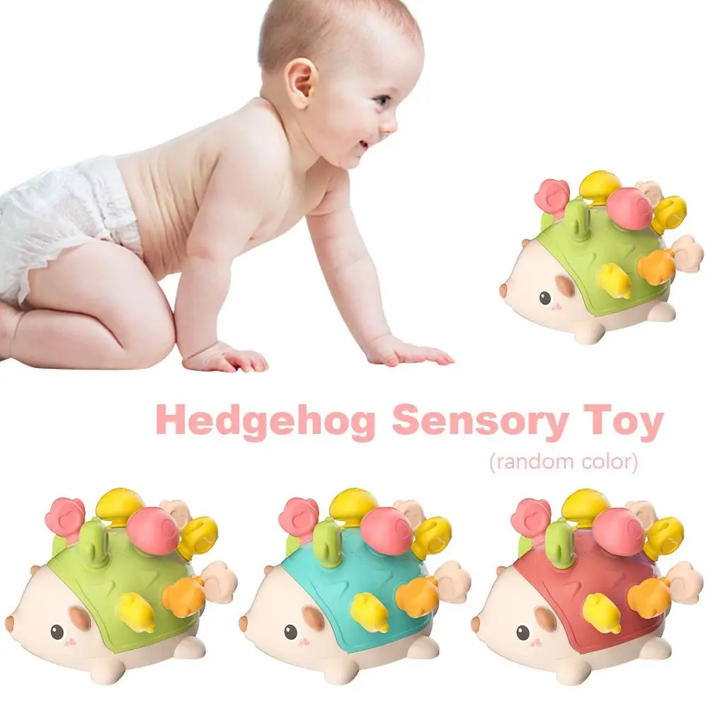 

Color Random Silicone Baby Toy Colorful Hedgehog Sensory Toy Early Education Montessoris Toy Puzzle Toy