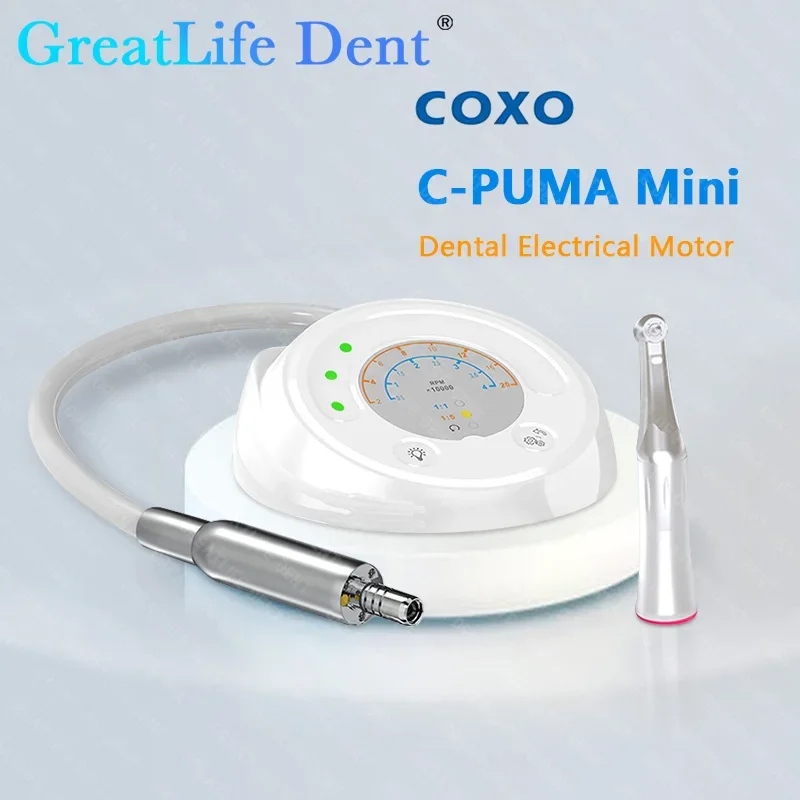 GreatLife Dent COXO C-Puma Mini Электрический бесщёточный с мотором 1:1 эндододонтический