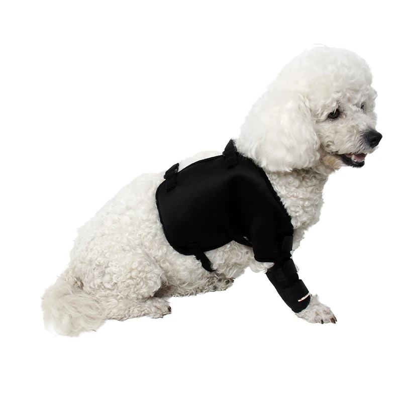 

Pet Dog After Surgery Wear Hip and Thigh Wound Protective Sleeve for Dogs Puppy Recovery Sleeve For Right Front Legs Pet Supply